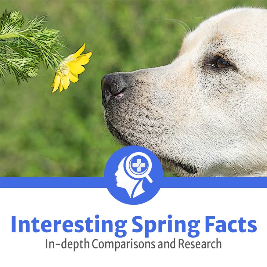 interesting spring facts including scientific facts and some for kids as well from our health experts