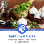 Antifungal Herbs