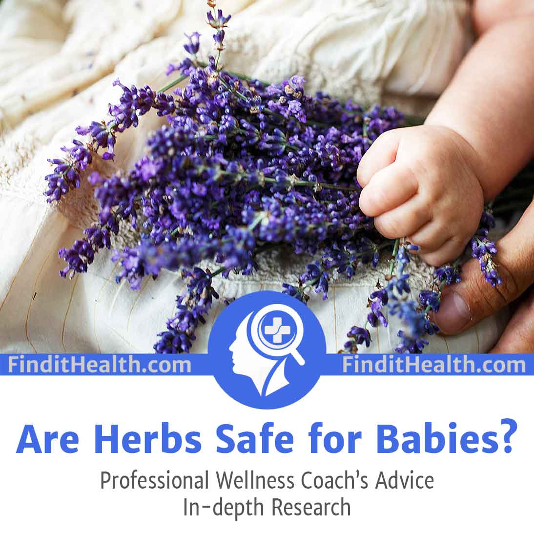 Are Herbs Safe For Babies?