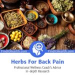 Herbs For Back Pain