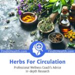 Herbs For Circulation