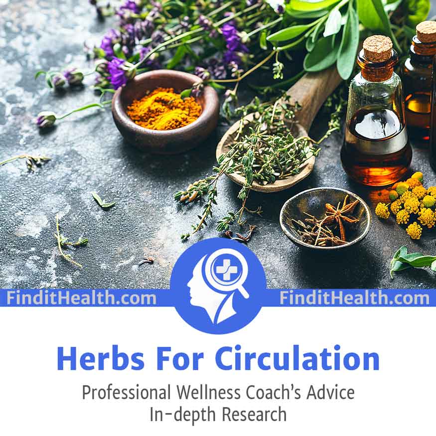 Herbs For Circulation