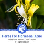 Herbs For Hormonal Acne