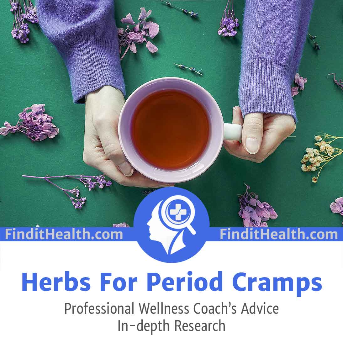 Herbs For Period Cramps