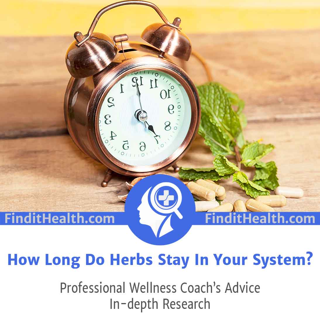 How Long Do Herbs Stay In Your System?