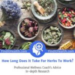 How Long Does It Take For Herbs To Work?