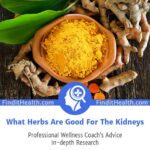 What Herbs Are Good For The Kidneys?