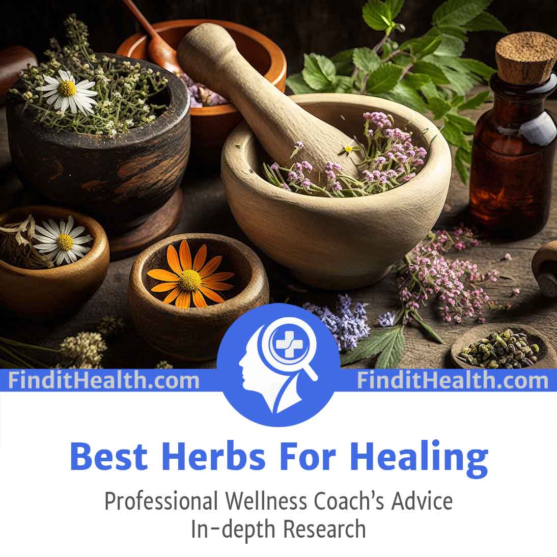 Best Herbs For Healing